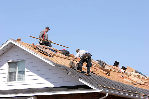 Best Roof Maintenance and Cleaning  in Pleasureville, PA